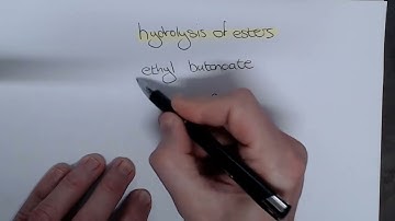 Hydrolysis of esters   mechanism