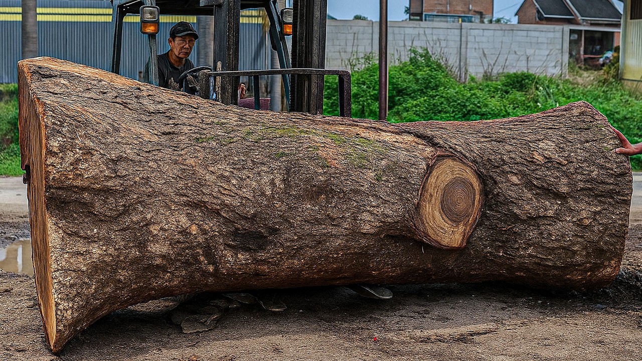 Saw Milling This Trembesi Wood Revealed a Hidden Surprise Inside! - YouTube