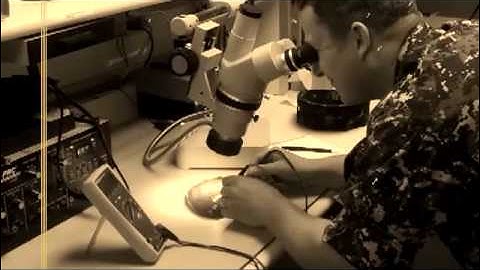 It Lives Somewhere In Jersey (Blobfest Short)