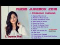 Trishala gurung songs collection 2018