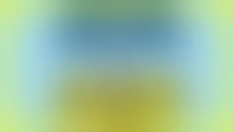 트위터 동영상 추출