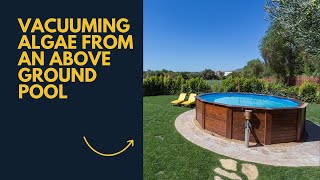 How do you Vacuum Algae from an Above Ground Pool: A Step by Step Guide