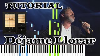 🎹 Ricardo Montaner Déjame Llorar (Tutorial)