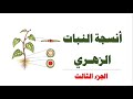 أنسجـة النبات الزهري ج 3 العلوم والحياة الصف التاسع الأساسي المنهاج الفلسطيني
