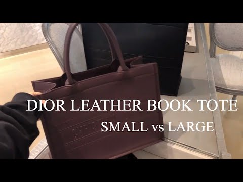 Dior Book tote bag small vs Large Size   #dior #personalshopping