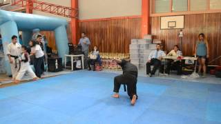 Erick Osorio Torneo Zen Shi Kai 2015