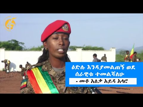 ቪዲዮ: ድመትዎን ለመሰየም 5 ዋና ዋና ምክሮች