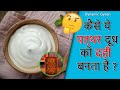 How this Stone Convert Milk into Curd🤔🤔 ? | कैसे ये पत्थर दूध को दही बनता है🤔🤔 ? - #shorts