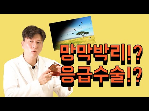 [Сонмо Жин Нүдний Эмнэлэг] Торлогийн хуулрал❓❗ Яаралтай мэс засал❔❕ Ерөнхий эмч Пак Жинхён тайлбарлана [Жинхэнэ нүдний эмнэлэг] [Сонмо Жин Нүдний Эмнэлэг]