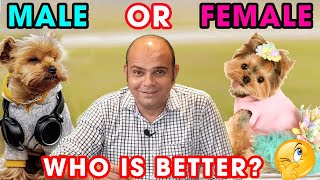 Differences Between Male and Female Puppy Dogs | Dog Info and Comparison | DYFF | Baadal Bhandaari