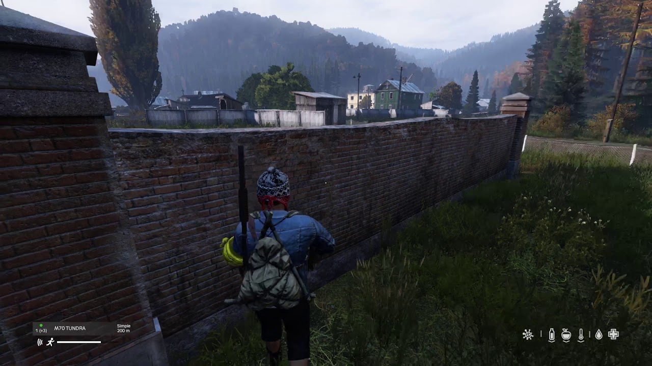 Dayz ps4