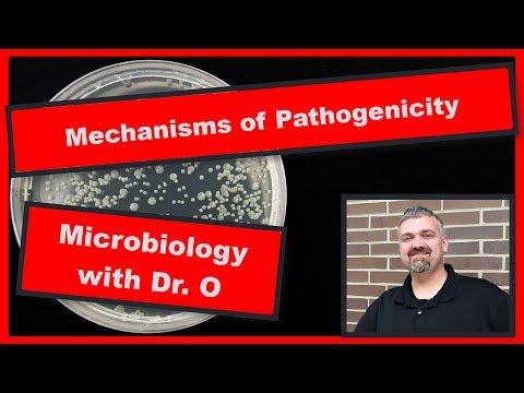 Mechanisms of Pathogenicity:  Microbiology