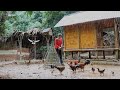 [ SOLO WORK ] in a stormy day to take care of animals - Build a farm, Live with nature. #124