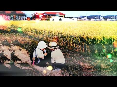 ありがとう/大橋卓也　Reggae ver mix