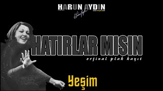 Hatırlarmısın | Yeşim (orjinal plak kayıt) Resimi