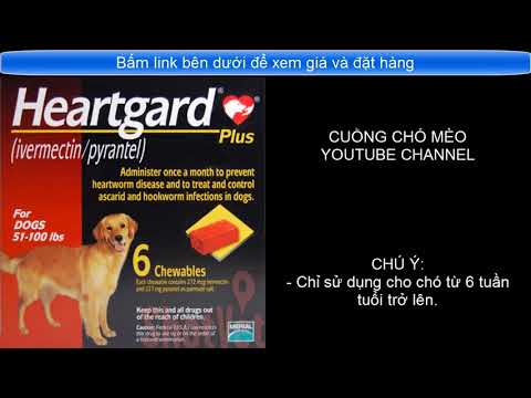 Thuốc tẩy giun Heartgard Plus cho chó phòng trị giun tim, giun đũa