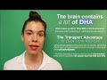 The Phospholipid Brain-DHA Advantage