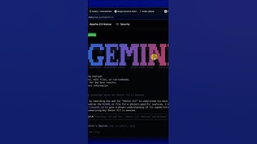 Gemini CLI: Google