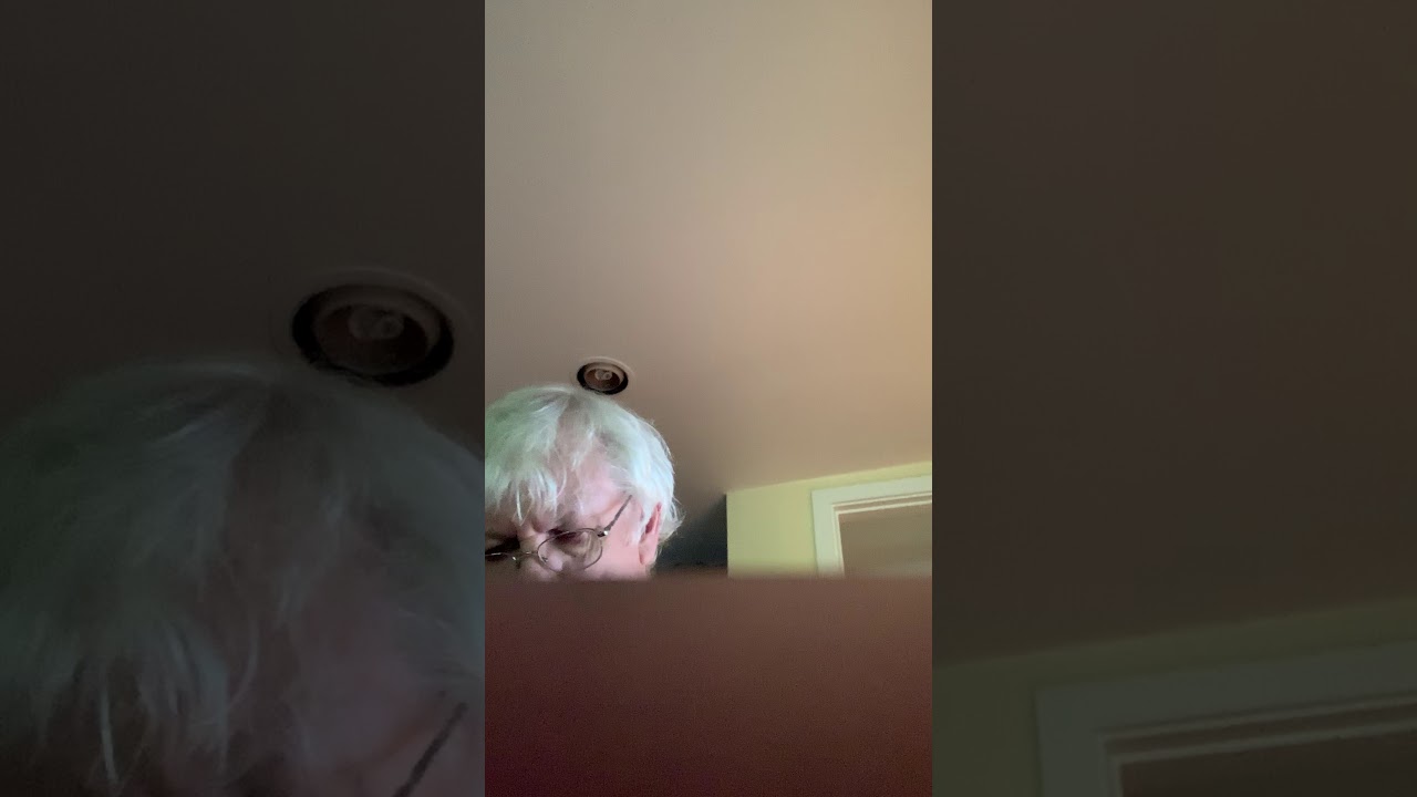 Looper and eharp tuning experiment 2