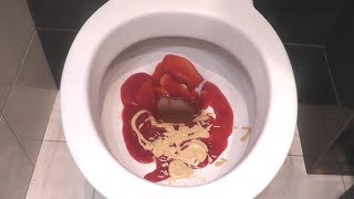 Will it Flush? WTF Crazy  Amazing Compilation Experiment