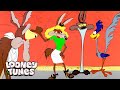 20 minutes de wile e coyote tant un dsastre  looney tunes  genwbfrancais