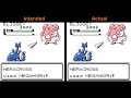 Middle of video