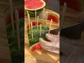#Watermelon #cuttingskills #supersalad #satisfying #fruitcutting #fruitcarving #西瓜