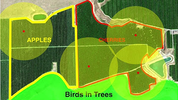 Bird Gard Keeping Birds Out of Fruit Trees