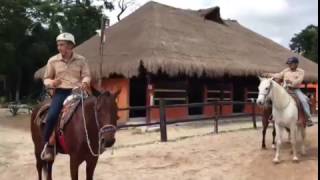 Best Mannequin Challenge with Horses 🐴🇲🇽 Mexico