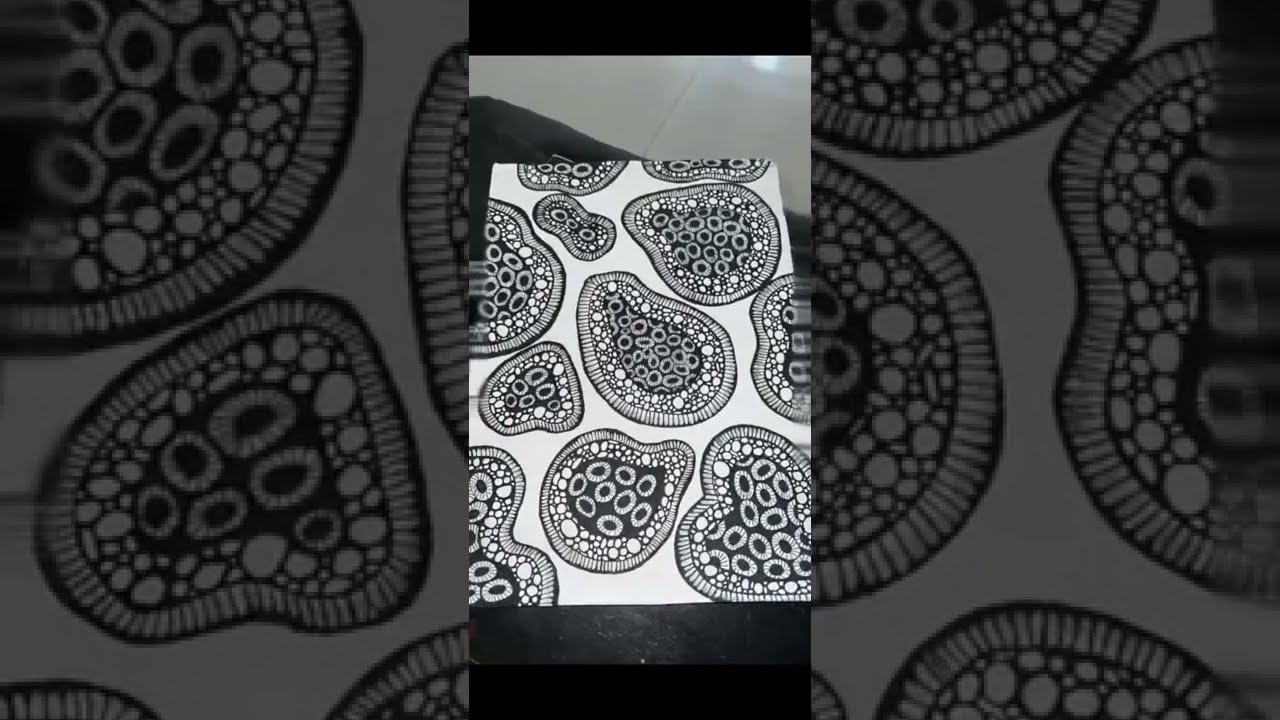 Floral Art | Transition |