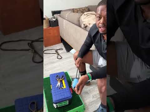 Level up your Kong toy!