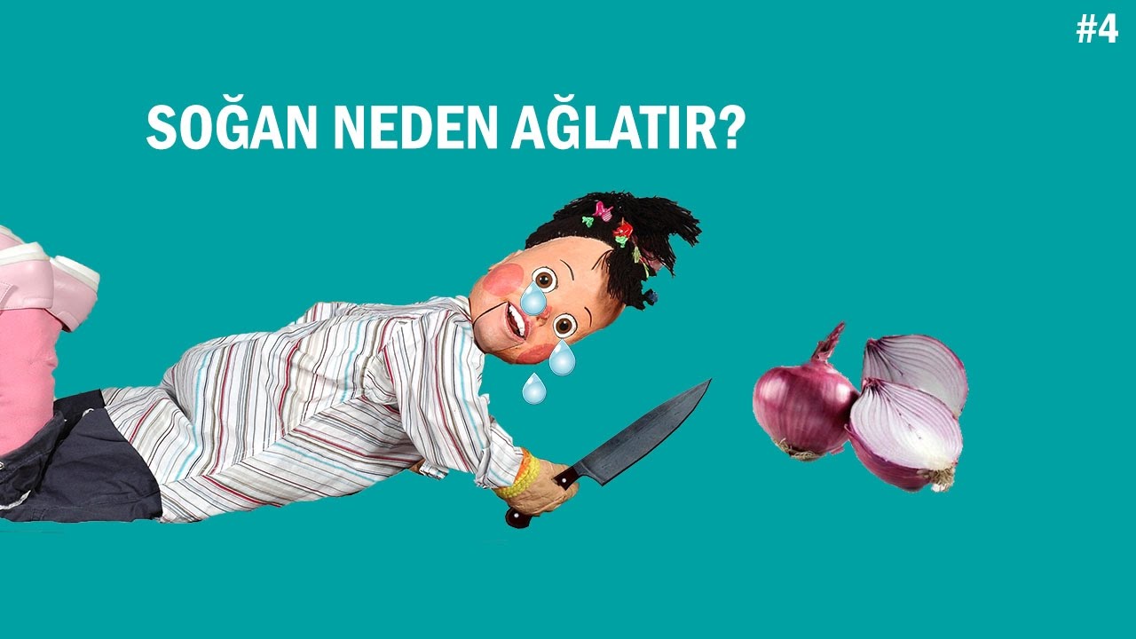 Soğan neden ağlatır Soğan neden ağlatır