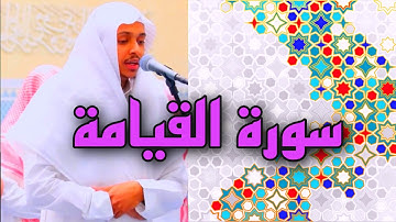تلاوة هادئة ومريحة للشيخ عمر الدريويز / سورة القيامة