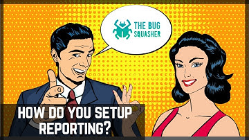 Bug Tracking Software | FAQ - How Does The Bug Squasher Reporting Work?