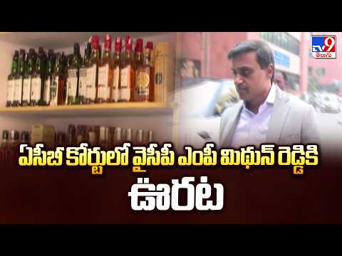 MP Mithun Reddy | ఏసీబీ కోర్టులో వైసీపీ ఎంపీ మిథున్ రెడ్డికి ఊరట - TV9 - TV9