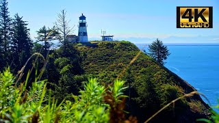 SOUNDS OF THE OREGON COAST | 1 HOUR | 4K