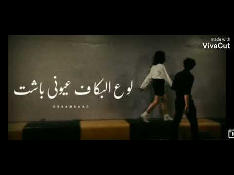 كنتي قوليلي محمد سعيد أريد فقط أن أجعل الموجات في رأسي أكثر هدوء ا والأصوات أكثر انخفاض ا