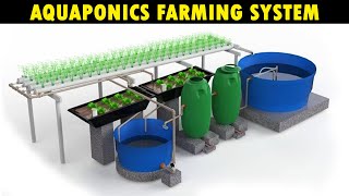 Aquaponics Farming System | Grow Fresh Fish and Vegetables Together
