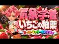 【第五人格】ピンク色のキュートな気象学者でスーパーキャリー見せます【IdentityⅤ】【すとぷり】【いちごの釉薬】