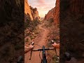 cycling in desert canyon sunset Ride 🏜️🚲 #cycling #aivideo #strangerthings #fyp #forypupage