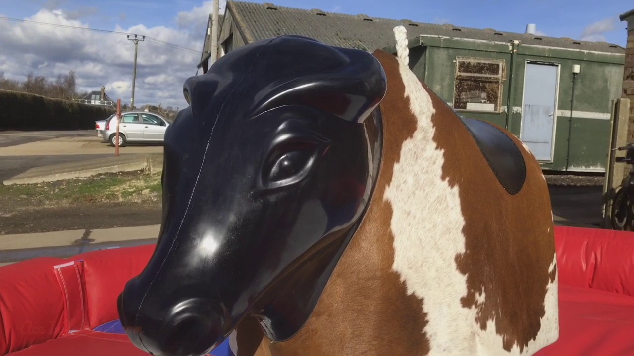 uckfield motor services Rodeo Bull Hire - Available Now At Aceinflatables.com
