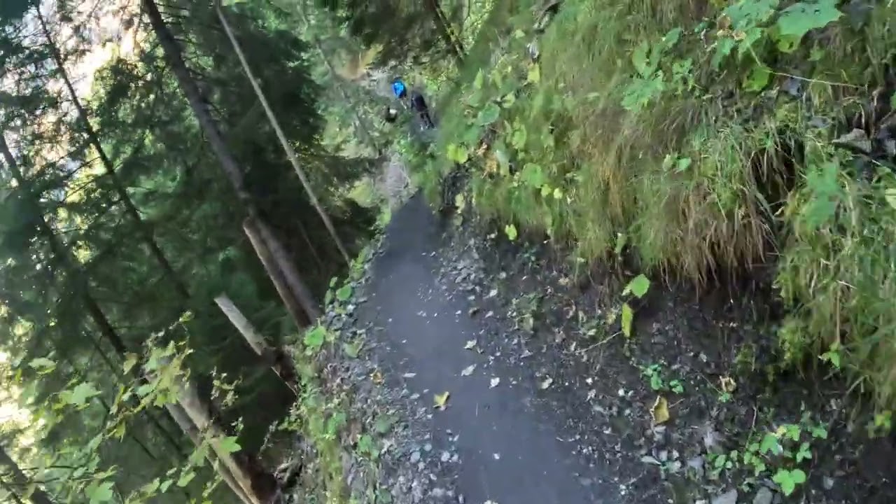 Oeschinensee Trail F Part 4 | Back Into the Forest – The Quiet Side of the Swiss Alps 🌲🇨🇭