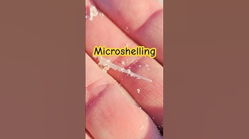 TUSK SHELLS 👀 #seashells