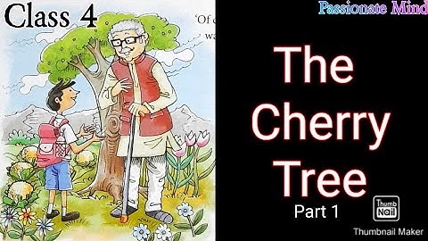 The Cherry Tree Chapter 8 Class 4 Collins English Alive Coursebook @PassionateMind-AS