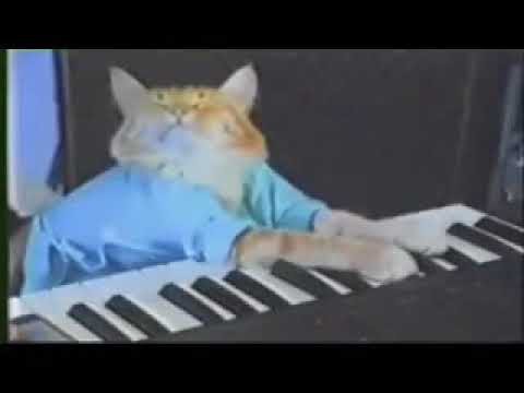 keyboard-cat,-for-10-hours.