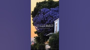 {ادْخُلُوا الْجَنَّةَ} قرائة نديّة بديعة ، القارئ : محمد اللحيدان 🤍🍃
