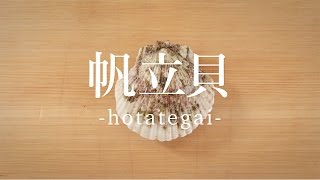 帆立貝（ほたてがい）のさばき方 - How to filet Scallop -｜日本さばけるプロジェクト（海と日本プロジェクト）