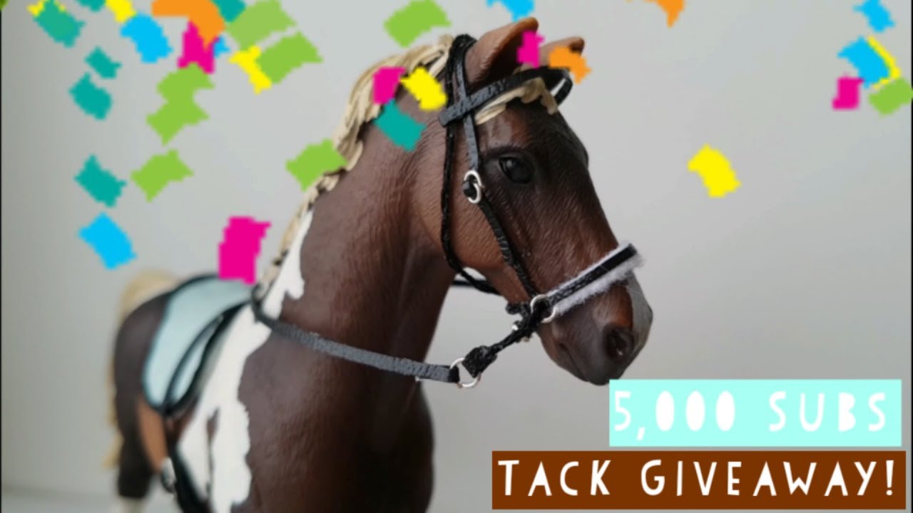 5000 Subscribers Tack Giveaway! Daisy stalls YouTube