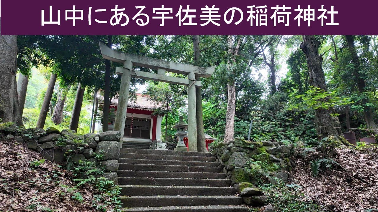 【vlog 散歩】宇佐美にある謎の稲荷神社