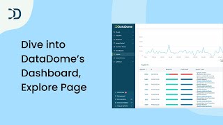 Dive into DataDome's Dashboard | Explore Net Worth